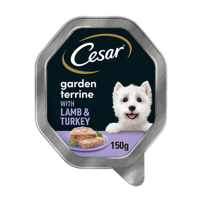 Cesar Garden Terrine Bandeja para alimentos para perros Turquía y judías verdes en el pan 150G